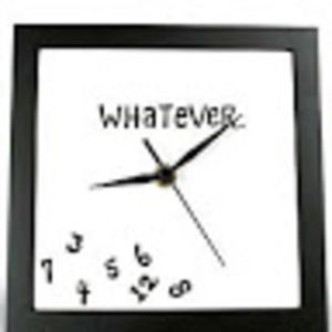 Meet your Posher, Natasha